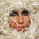 Illustration for article titled A Year In The Life Wardrobe Of Lady Gaga